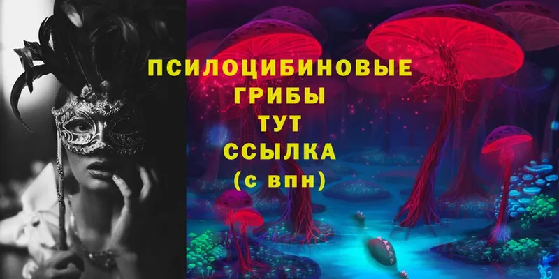 Галлюциногенные грибы MAGIC MUSHROOMS  купить закладку  Лениногорск 